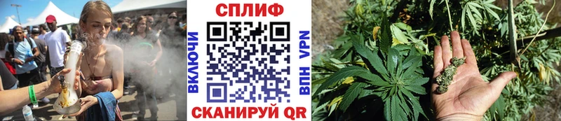 Шишки марихуана тримм  Благодарный 
